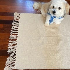 2X3 Hand Loomed Cotton Rug